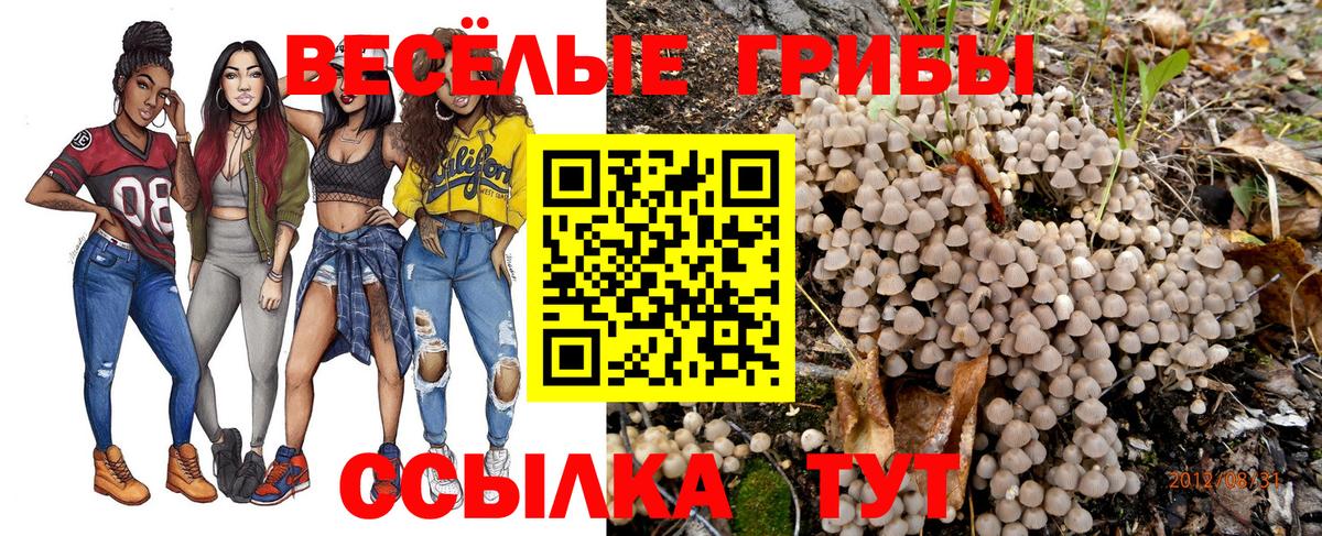 Псилоцибиновые грибы мицелий Назрань