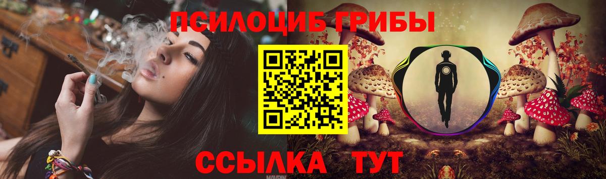 Псилоцибиновые грибы Psilocybine cubensis  Вход с VPN  Назрань 